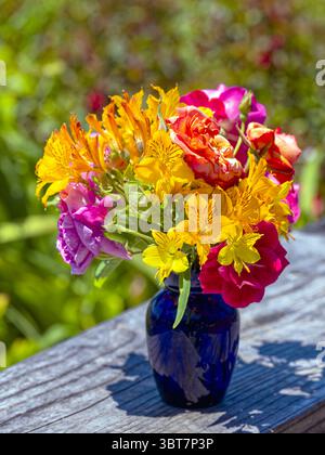 Fiori fioriti disposti in un vaso sul patio Foto Stock