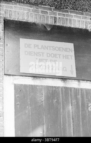 Scrivi "il dipartimento dei parchi lo fa con la motosega!", Whizgle News, Dutch Desk, Paesi Bassi, 1950 - 2000 al 30-08-1983. Questi sono gli elementi dell'immagine. La scena presenta un muro testurizzato con un aspetto rustico, composto principalmente da tonalità grigie e mattoni invecchiati. Sopra, è montato un cartello rettangolare, caratterizzato da un aspetto silenzioso e industriale. Il segno stesso contrasta con la superficie circostante, in quanto è probabilmente dipinto in una tonalità più chiara che si distingue sullo sfondo più scuro dei mattoni. Sotto, si può vedere una porta di legno, la sua superficie irregolare e intemprata, che indica anni di expo Foto Stock