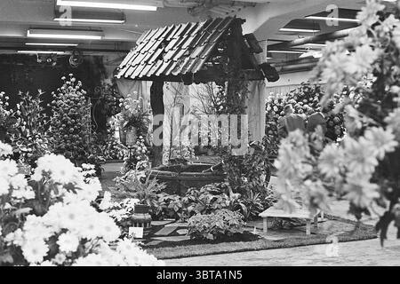 Mostra di fiori Aalsmeer Flower Exhibition, Whizgle News, Dutch Desk, Paesi Bassi, 1950 - 2000 il 07-11-1968. Questi sono gli argomenti nell'immagine. La scena si snoda in una vibrante mostra floreale, piena di una serie di piante in fiore meticolosamente disposte in tutto lo spazio. Al centro, è esposta una caratteristica struttura che assomiglia ad un pozzo tradizionale, costruita in legno invecchiato con un tetto inclinato ricoperto di piastrelle scure. Il legno appare strutturato e intemprato, contribuendo al suo fascino rustico. Intorno al pozzo, un'abbondanza di fiori in varie fasi di fioritura crea un effetto sontuoso Foto Stock