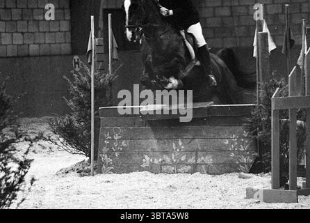 Gara di salto ostacoli in un'arena coperta., Whizgle News, Dutch Desk, Paesi Bassi, 1950 - 2000. Questi sono gli argomenti nell'immagine. La scena cattura il momento dinamico di un cavallo e di un cavaliere creando un'immagine sorprendente su uno sfondo testurizzato. Il cavallo, una figura oscura e potente, è a metà balzo, mostrando la sua forza e agilità. La sua criniera scorre indietro con grazia, evidenziando il movimento e l'energia del momento. Il pilota, vestito con un abbigliamento equestre formale, è concentrato e pronto a dimostrare un mix di abilità e sicurezza mentre naviga su un ostacolo. L'abbigliamento del pilota contrasta Foto Stock
