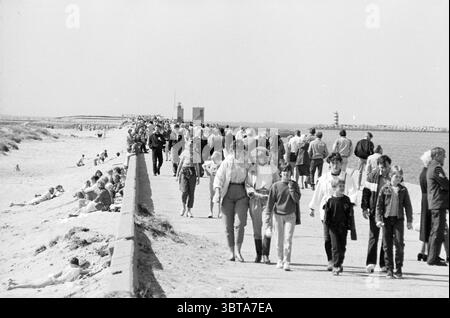 Folle sulla spiaggia di IJmuiden folle Spiaggia e spiagge IJmuiden Paesi Bassi, Whizgle News, Dutch Desk, Paesi Bassi, 1950 - 2000 il 22-04-1984. Questi sono gli elementi dell'immagine. In questa scena, una vivace passeggiata si estende lungo un ambiente costiero, per lo più popolato da gruppi di persone che si godono una giornata fuori. Il sentiero è ampio e delimitato da aree sabbiose, dove alcuni individui si rilassano sugli asciugamani da spiaggia, crogiolandosi al sole. L'atmosfera è calda e vivace, caratterizzata da interazioni informali tra amici e famiglie. Persone di varie età si vedono passeggiare; alcuni appaiono dee Foto Stock