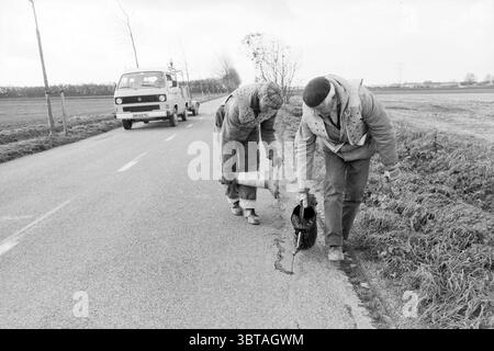 Bad Roads Haarlemmermeer Roads costruzione di strade piantagione di strade, Whizgle News, Dutch Desk, Paesi Bassi, 1950 - 2000 il 07-11-1985. L'immagine mostra questi argomenti. In una scena in scala di grigi, due lavoratori sono diligentemente impegnati nella manutenzione stradale. Sono piegati, concentrati su una crepa nell'asfalto, che sembrano ispezionare da vicino. Un lavoratore tiene un cono mentre l'altro utilizza uno strumento per sondare la crepa, suggerendo un urgente bisogno di riparazione. Entrambe le persone sono vestite con pesanti giacche da lavoro foderate e cappelli che indicano che sono attrezzati per affrontare il freddo. Le giacche sono leggermente dishev Foto Stock