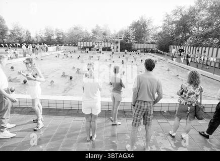 Gruppo di nuotatori in una piscina all'aperto, Whizgle News, Dutch Desk, Paesi Bassi, 1950 - 2000. Questi sono gli elementi dell'immagine. La scena raffigura una vivace piscina all'aperto in una giornata di sole, piena di persone che si godono l'acqua. La piscina stessa è rettangolare e cattura vibranti tonalità di blu, a contrasto con i bordi piastrellati di colore chiaro. Intorno alla piscina, un mix di persone dentro e fuori dall'acqua contribuisce a creare un'atmosfera vivace. In primo piano, un gruppo di osservatori si trova lungo la piscina, di fronte all'acqua. Il loro abbigliamento suggerisce una giornata calda e informale; pantaloncini corti e summ Foto Stock