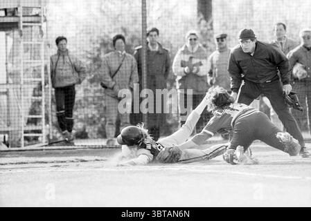 Terrasvogels - HCAW Softball, Whizgle News, Dutch Desk, Paesi Bassi, 1950 - 2000 il 24-04-1988. L'immagine mostra questi argomenti. In un ambiente dinamico all'aperto, due giocatori sono impegnati in un momento di tensione durante una partita di baseball. Il giocatore che scivola nel piatto di casa indossa un casco scuro e una maglia, in contrasto con l'uniforme più leggera del ricevitore, che è posizionato in una posizione accovacciata, tentando visibilmente di etichettare il giocatore scorrevole. Il terreno sottostante è un misto di terra ed erba, che mostra segni di usura del gioco. Intorno all'azione, diversi spettatori guardano intensamente da dietro un pugno Foto Stock