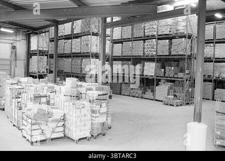 Centro di distribuzione Vomar IJmuiden negozi e chioschi IJmuiden Paesi Bassi, Whizgle News, Dutch Desk, Paesi Bassi, 1950 - 2000 al 26-03-1981. Questi argomenti vengono visualizzati nell'immagine. La scena rivela un ambiente di magazzino spazioso, caratterizzato da alti soffitti e ampie corsie. Il pavimento è in cemento ammorbidito, leggermente usurato, che suggerisce un uso intensivo nel tempo. Gli scaffali si innalzano drasticamente lungo le pareti, densamente pieni di varie scatole di cartone impilate metodicamente, organizzate per dimensione e tipo. Le scatole sono principalmente in tonalità di marrone chiaro e beige, molte delle quali mostrano etichette sbiadite che h Foto Stock