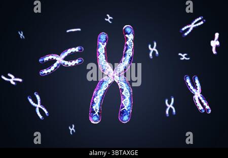 il cromosoma x trasparente con rendering 3d contiene un filamento di dna all'interno Foto Stock