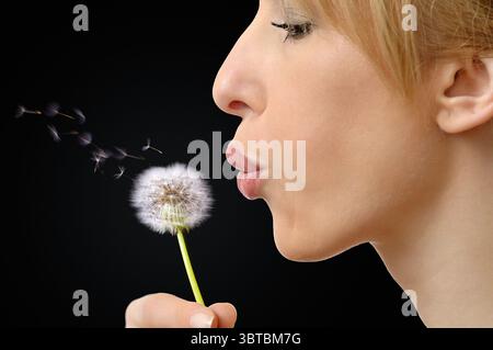 Donna di soffiaggio semi di dente di leone Foto Stock