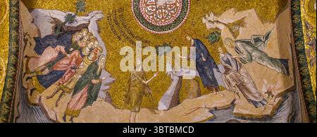 Turchia: Mosaico "il Battesimo di Cristo", nartece esterno (sala d'ingresso), Chiesa del Santo Salvatore a Chora (Moschea Kariye), originariamente una chiesa cristiana ortodossa, Istanbul. La chiesa di Chora fu originariamente costruita all'inizio del IV secolo e si trovava fuori dalle mura della città di Costantinopoli. I bellissimi mosaici e affreschi risalgono all'inizio del XIV secolo e sono stati creati dal potente statista greco bizantino Teodoro Metochites. Foto Stock