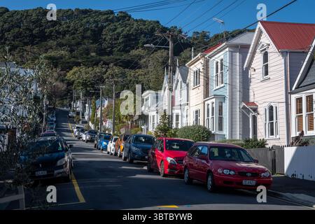 Case in legno nella strada suburbana, Mount Victoria, Wellington, North Island, nuova Zelanda Foto Stock