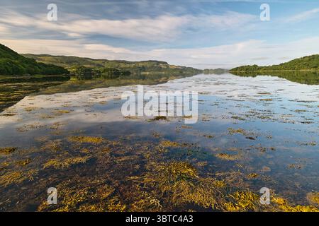 Loch Melfort, Argyll, Scozia Foto Stock