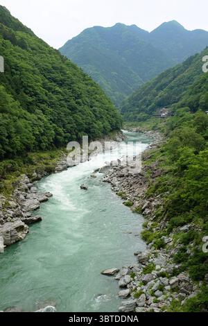 Un fiume che attraversa la valle di Iya a Shikoku, in Giappone. Foto Stock