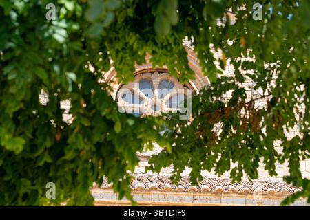 Annidata tra il verde vibrante, l'intricata architettura di una struttura storica a Toro, nella provincia di Zamora, mette in mostra una straordinaria maestria artigianale sotto cl Foto Stock