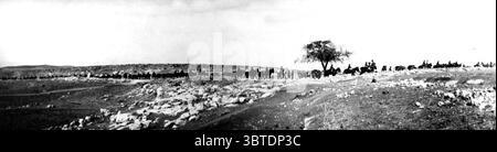 La Somerset Battery ( Australian and New Zealand Division ) nella marcia ai piedi della Giudea , novembre 1917 Foto Stock