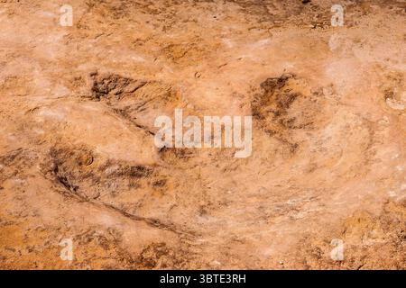 19 luglio 2007, Utah, Stati Uniti: Una pista di dinosauro allosaurus ben conservata nella pietra arenaria di Buckhorn Wash nello Swell di San Rafael, Utah. (Immagine di credito: © Jon G. Fuller, Jr/VW Pics via cavo ZUMA) Foto Stock