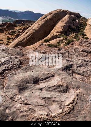 9 ottobre 2019, Moab, Utah, Stati Uniti: Tracce di dinosauri Allosaurus risalenti al tardo Giurassico nella Navajo Sandflats Recreation area vicino a Moab, Utah. (Immagine di credito: © Jon G. Fuller, Jr/VW Pics via cavo ZUMA) Foto Stock