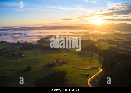 Vista aerea dei raggi dorati del sole baciano i campi verdeggianti e le colline ondulate, con una morbida coperta di nebbia annidata nelle valli, Bernbeuren, Baviera, Germania. Foto Stock