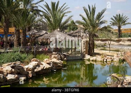 Il Midbarium o "Desertarium", anche il Jack, Joseph e Morton Mandel Animal Park, è uno zoo nel deserto e un parco divertimenti ai margini del deserto Foto Stock