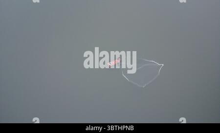 Una vista serena con una persona solitaria su una zattera che naviga pacificamente sulle acque calme, offrendo un senso di solitudine. Foto Stock