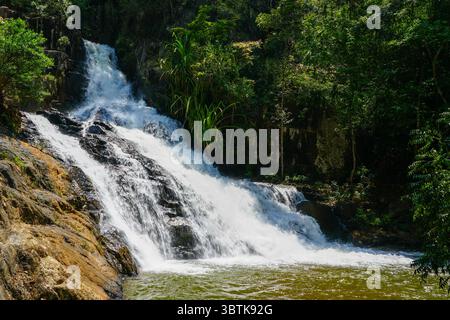 La vista tranquilla cattura il livello inferiore della cascata di Datanla a da Lat, dove l'acqua scorre sopra rocce scure in una tranquilla piscina verde sotto l'ombra della foresta Foto Stock