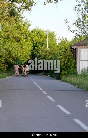 Paesaggio rurale estivo con moderni cottage e recinzioni lungo una strada asfaltata Foto Stock