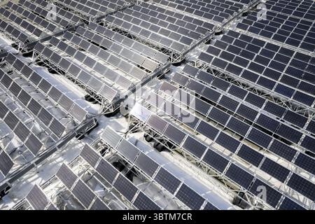 Vista aerea di file di pannelli solari che si estendono attraverso il paesaggio, riflettendo la luce del sole con una lucentezza metallica, creando un netto contrasto con il terreno pallido, posizione omessa, posizione omessa. Foto Stock