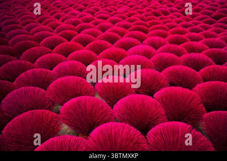 Primo piano full frame di bastoncini di incenso essiccati, Hanoi, Vietnam Foto Stock