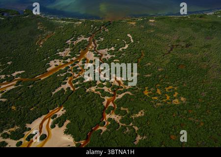 Vista aerea dei tortuosi fiumi arancioni che attraversano fitte foreste di mangrovie verdi, un arazzo di arte naturale, Merida, Yucatan, Messico. Foto Stock