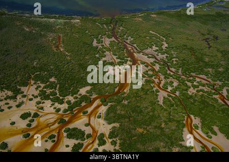 Veduta aerea dei tortuosi fiumi color marrone rossastro che serpeggiano attraverso la lussureggiante vegetazione verde e le coste sabbiose, creando un affascinante contrasto di colori e testo Foto Stock