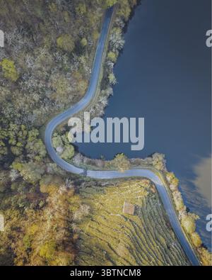 Vista aerea di una strada tortuosa che serpeggia tra una fitta foresta e un tranquillo lago, con una piccola struttura annidata sul pendio verdeggiante, Lugo, Spagna. Foto Stock