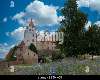 Torri bianche e palazzi nel cortile del castello di Trausnitz a Landshut in Germania con fiori selvatici Foto Stock