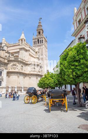 Turisti turisti in vacanza presso la Cattedrale di Siviglia e il campanile della Giralda, in Plaza del Triunfo Andalusia, Spagna. Foto Stock