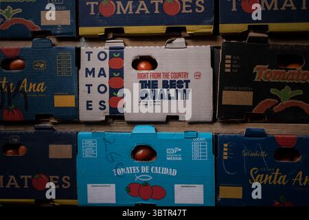 Mexiko Stadt, Messico. 15 luglio 2025. Le scatole di pomodori messicani si trovano nel magazzino "Rodriguez Arrieta" nella sala del mercato all'ingrosso. I nuovi dazi statunitensi all'importazione del 17,09% sui pomodori freschi provenienti dal Messico e la speculazione sui prezzi stanno causando incertezza tra i commercianti messicani. "Il Messico rimane uno dei nostri alleati più importanti, ma per troppo tempo i nostri agricoltori sono stati schiacciati da pratiche commerciali sleali che hanno ridotto i prezzi di prodotti come i pomodori. Ora è finita", ha detto il Segretario al commercio Lutnick. Crediti: Felix Marquez/dpa/Alamy Live News Foto Stock