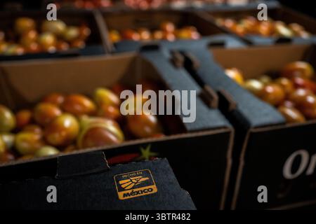 Mexiko Stadt, Messico. 15 luglio 2025. Le scatole di pomodori messicani si trovano nel magazzino "Rodriguez Arrieta" nella sala del mercato all'ingrosso. I nuovi dazi statunitensi all'importazione del 17,09% sui pomodori freschi provenienti dal Messico e la speculazione sui prezzi stanno causando incertezza tra i commercianti messicani. "Il Messico rimane uno dei nostri alleati più importanti, ma per troppo tempo i nostri agricoltori sono stati schiacciati da pratiche commerciali sleali che hanno ridotto i prezzi di prodotti come i pomodori. Ora è finita", ha detto il Segretario al commercio Lutnick. Crediti: Felix Marquez/dpa/Alamy Live News Foto Stock