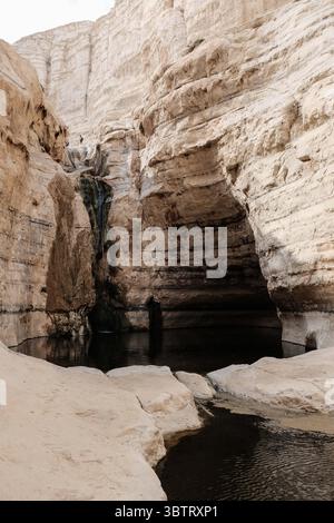 15 novembre 2019, Ein Avdat National Park, Israele: Una cascata naturale e una piscina nel fiume Tzin presso il Parco Nazionale di Ein Avdat, un'oasi naturale nel deserto del Negev in Israele. (Immagine di credito: © Nir Alon/ZUMA Wire) Foto Stock