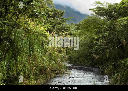 29 ottobre 2016, Costa Rica: Vista dal ponte di Rio de la fortuna, Costa Rica. Foresta pluviale, fiume la fortuna, provincia di Alajuela, Costa Rica, America centrale (immagine di credito: © Sergi Reboredo/ZUMA Wire) Foto Stock