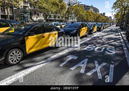26 ottobre 2020, Barcellona, Catalogna, Spagna: Un gran numero di veicoli taxi sono parcheggiati in fila sul Passeig de GrÃ cia a Barcellona..le principali organizzazioni di tassisti e sindacati di Barcellona hanno indetto una giornata di sciopero parcheggiando i loro veicoli nel centro della città e convocando un'assemblea davanti alla delegazione del governo spagnolo in Catalogna. Il settore dei taxi chiede aiuto per far fronte al basso reddito economico dovuto alla pandamia Covid19 che mantiene la maggior parte del commercio e del tempo libero senza attività. (Immagine di credito: © immagini Paco Freire/SOPA tramite cavo ZUMA) Foto Stock