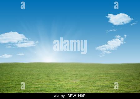 Il prato erboso si estende all'orizzonte sotto il sole nascente, con un design piatto con raggi luminosi e nuvole Foto Stock