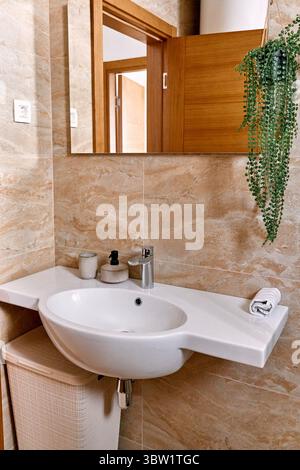 Un bagno moderno con un elegante lavabo bianco, eleganti pareti piastrellate e vegetazione sospesa, che creano un ambiente sereno ed elegante. Foto Stock