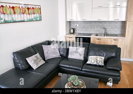 Un'area soggiorno moderna con divano in pelle nera, cuscini e una cucina compatta. ideale per piccoli spazi con arredi moderni e vivaci artwo Foto Stock