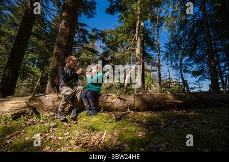 I fratelli si godono una giornata di sole in una foresta lussureggiante. Si siedono insieme su un tronco caduto, impegnandosi in un'interazione giocosa tra gli alberi. Foto Stock