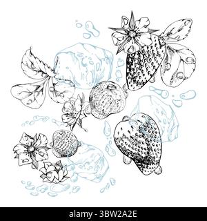 Fragola bacche da giardino mature che volano in acqua spruzza foglie fiori, cubetti di ghiaccio, gocce di rugiada, pinola fresca umida fragola serpente. Isolato Illustrazione Vettoriale