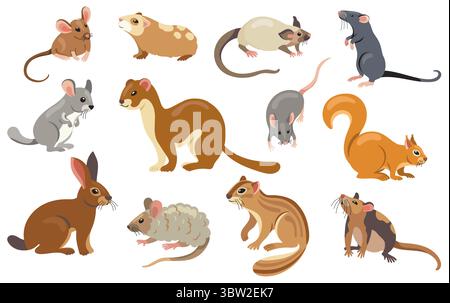 Collezione di roditori. Cartoni animati piccoli mammiferi, cavia, criceto, topo, topo, chipmunk, lepre e scoiattolo, roditori domestici e animali domestici Illustrazione Vettoriale