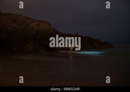 Plancton bioluminescente su alcune delle migliori spiagge del Regno Unito Foto Stock