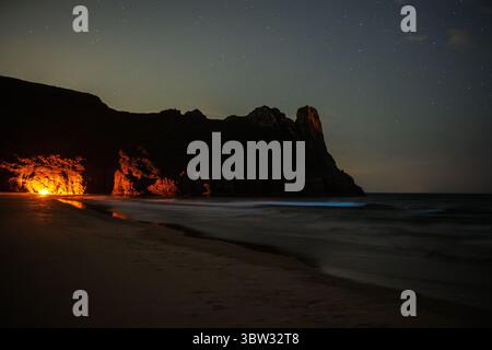 Plancton bioluminescente su alcune delle migliori spiagge del Regno Unito Foto Stock