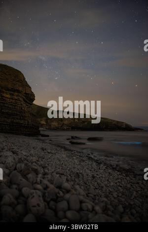 Plancton bioluminescente su alcune delle migliori spiagge del Regno Unito Foto Stock