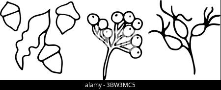 Set di rosa anche, bacche di rowan, ghiande. Semplice grafica nera, disegnata a mano in stile doodle. Illustrazione vettoriale di elementi della natura autunnali Illustrazione Vettoriale
