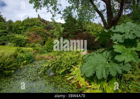 Arduaine Gardens, Loch Melfort, Argyll, Scozia Foto Stock