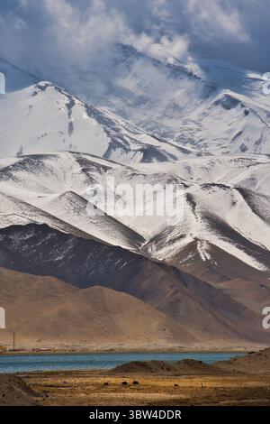 Montagne innevate si innalzano maestosamente su un tranquillo lago e mandrie di yaks in una valle remota Foto Stock