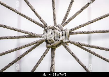 Molte corde e un grosso nodo da vicino Foto Stock