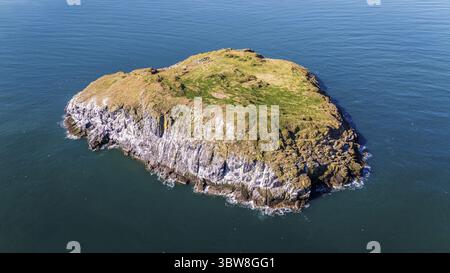 Vista aerea dell'isola rocciosa aspra, ricoperta da vegetazione verde, circondata dal mare blu profondo, Craigleith, North Berwick, Scozia, Regno Unito. Foto Stock